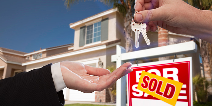 Real Estate